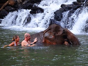 Les humains et l'éléphant au cascade à Sen Monorom à Mondolkiri