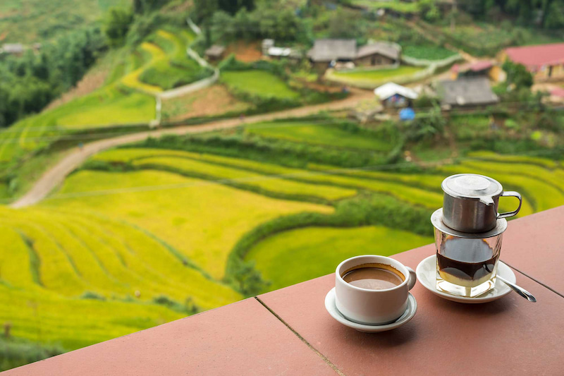 Culture du cafe au Vietnam