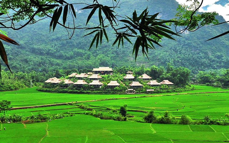 Mai Chau