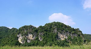 Les rochers calcaires à Ninh Binh