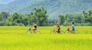 Les touristes se baladent à vélo à Ninh Binh