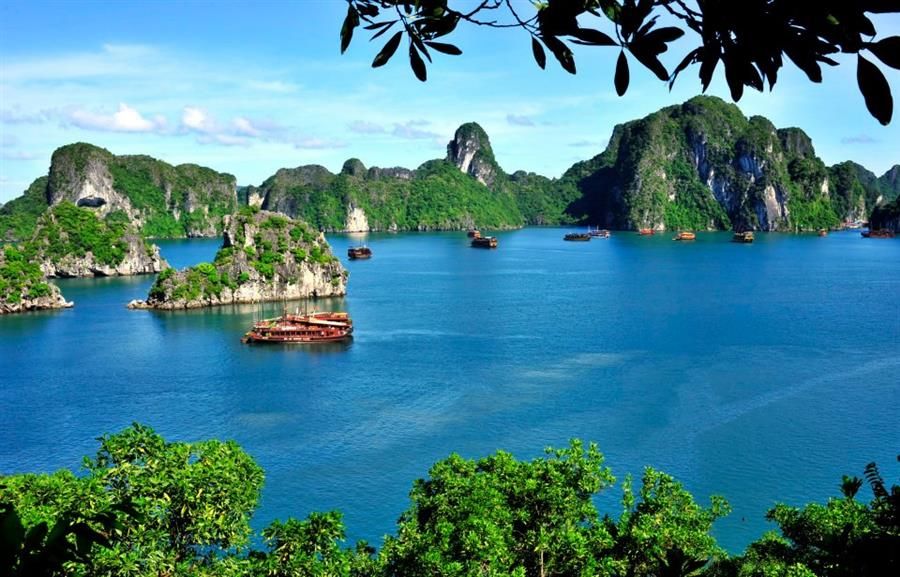 Hanoï - Halong - croisière en jonque traditionnelle à la baie de Bai Tu Long