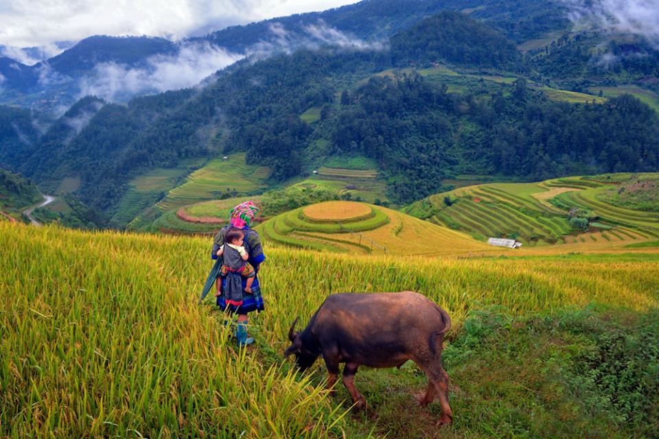 De Yen Minh à Dong Van