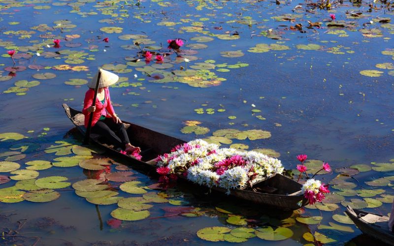 delta du mekong fleur