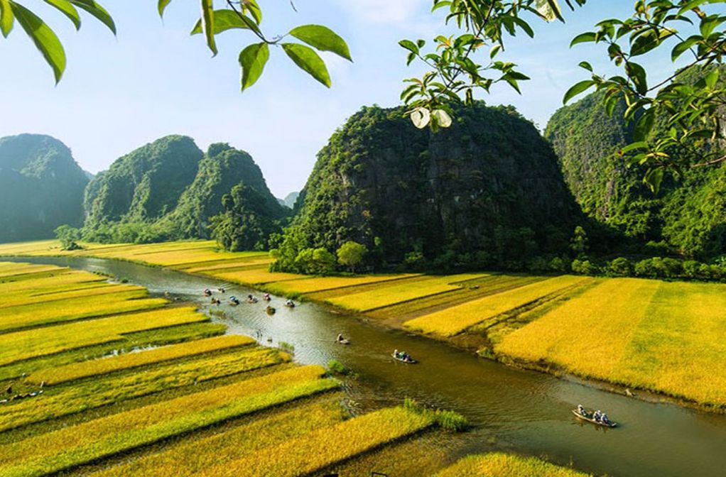 tam coc ninh binh