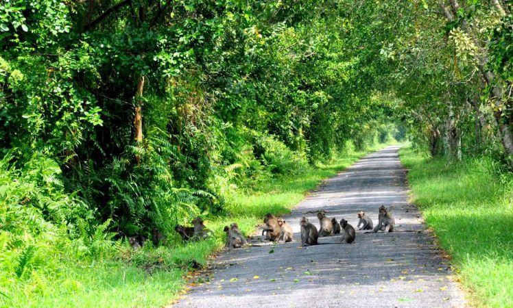 parc national phu quoc