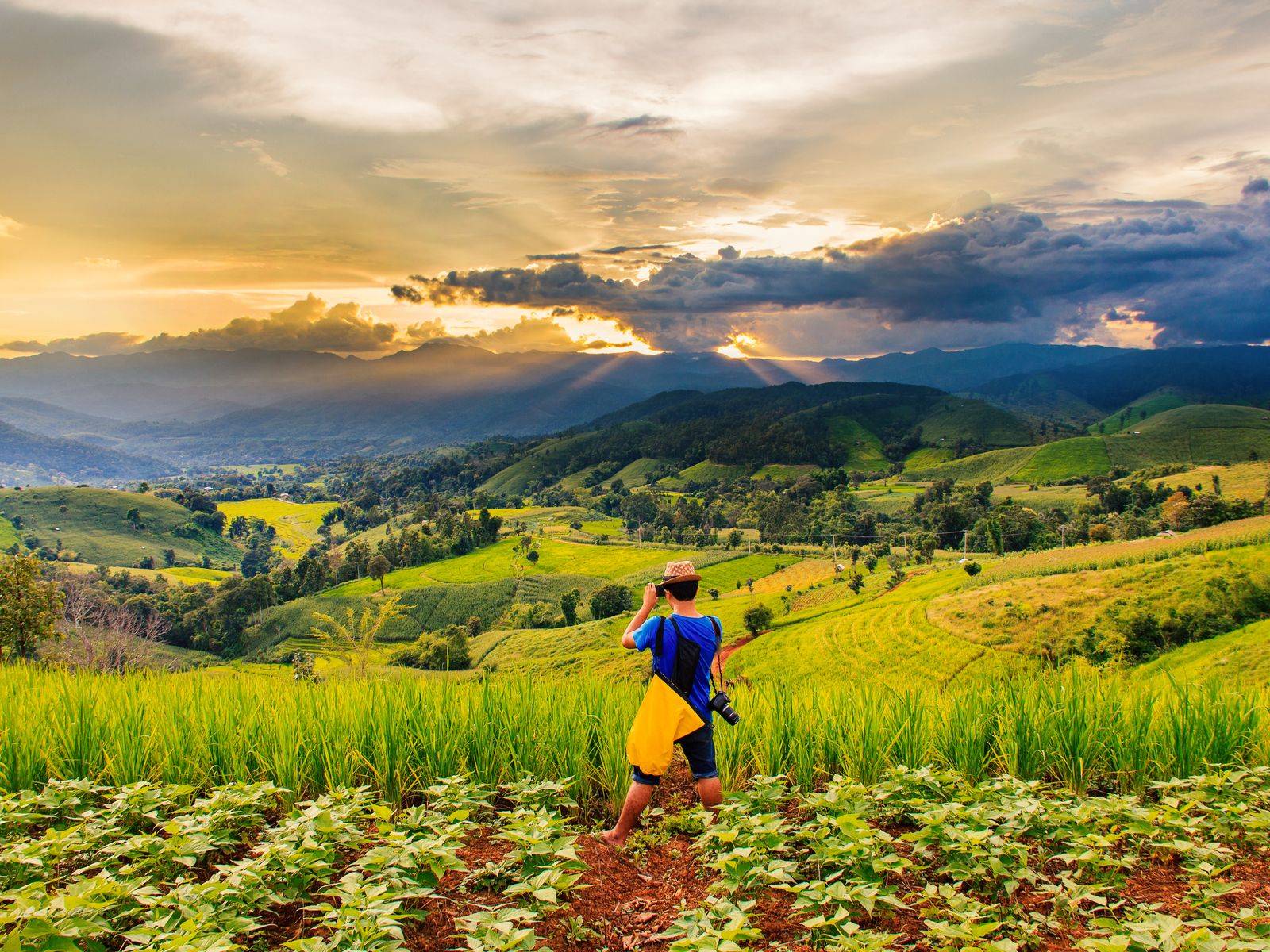 Chiang Mai